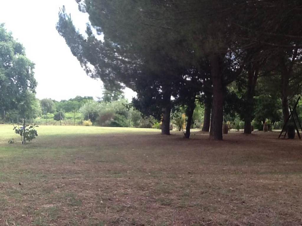 Campo Alle Monache ブーチネ エクステリア 写真