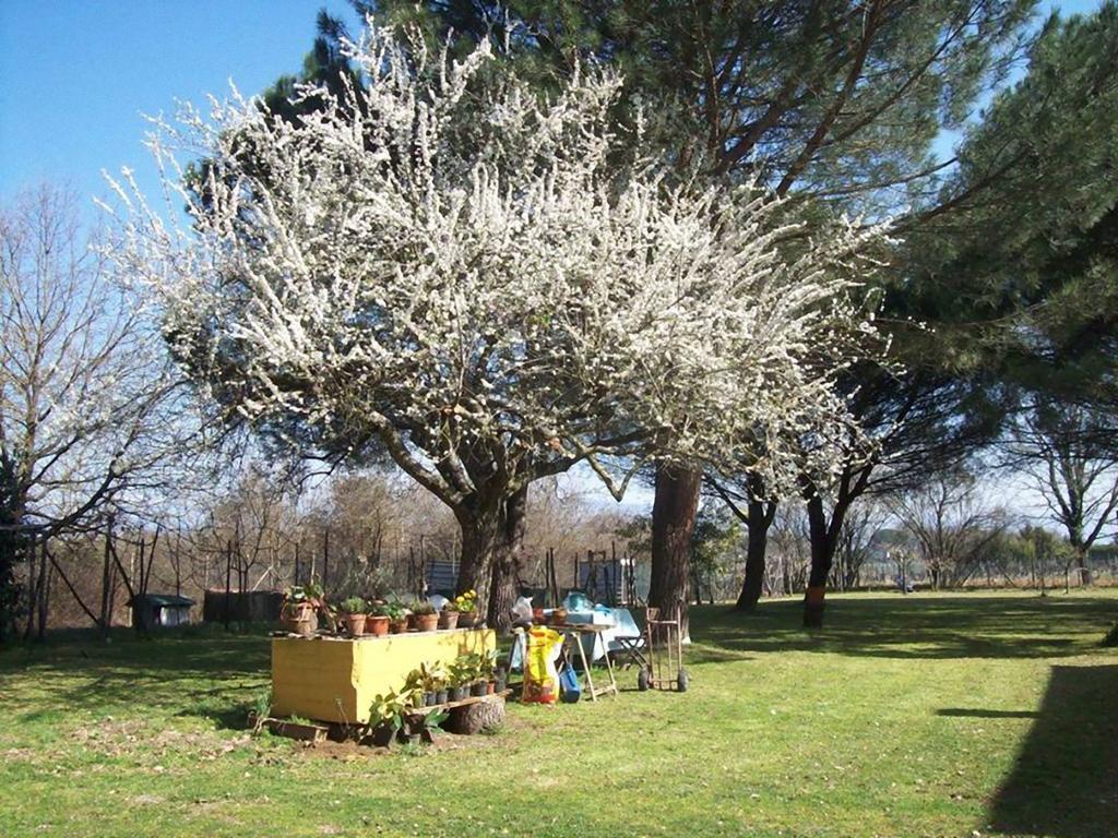 Campo Alle Monache ブーチネ エクステリア 写真