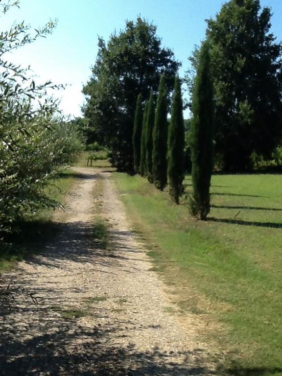 Campo Alle Monache ブーチネ エクステリア 写真