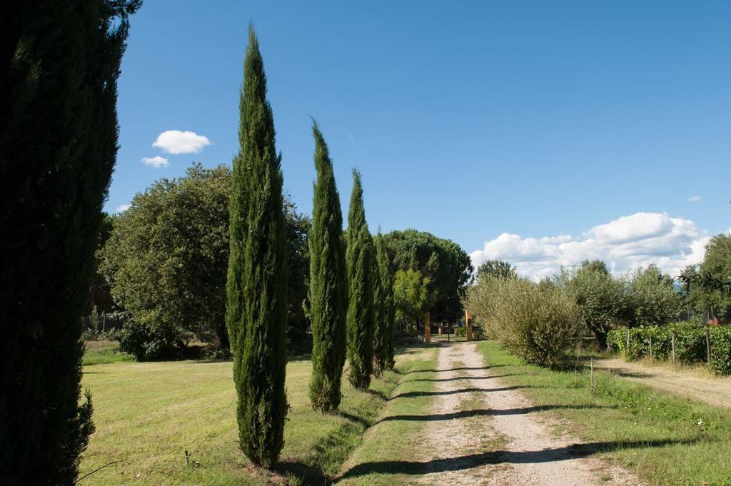 Campo Alle Monache ブーチネ エクステリア 写真