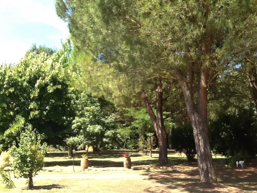 Campo Alle Monache ブーチネ エクステリア 写真